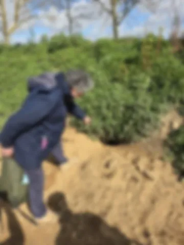 Colleville Montgomery 27 Nov 2025