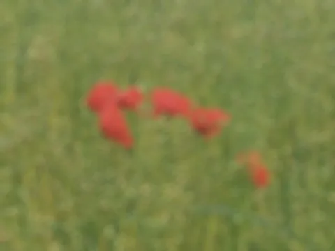 Autour de Villons  29 mai 2025