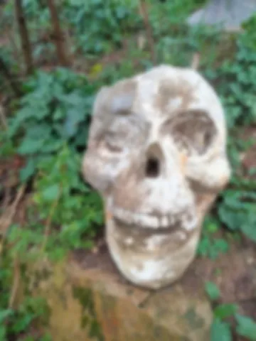 Verte Valée Colline aux Oiseaux  12 Février 2026